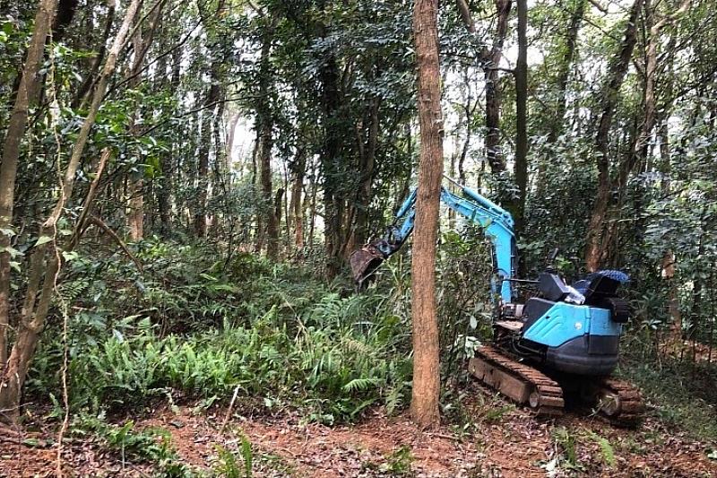 圖／棄耕的茶園久未使用，需要機具協助除草、清理。