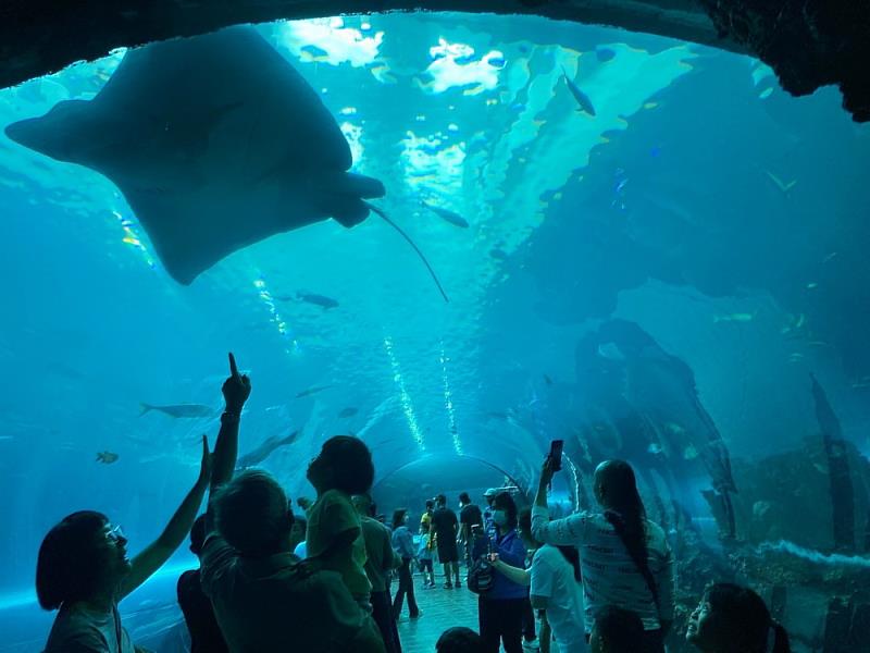 透過在海生館內與孩子互動，共同探索海洋世界的奧秘和美麗3