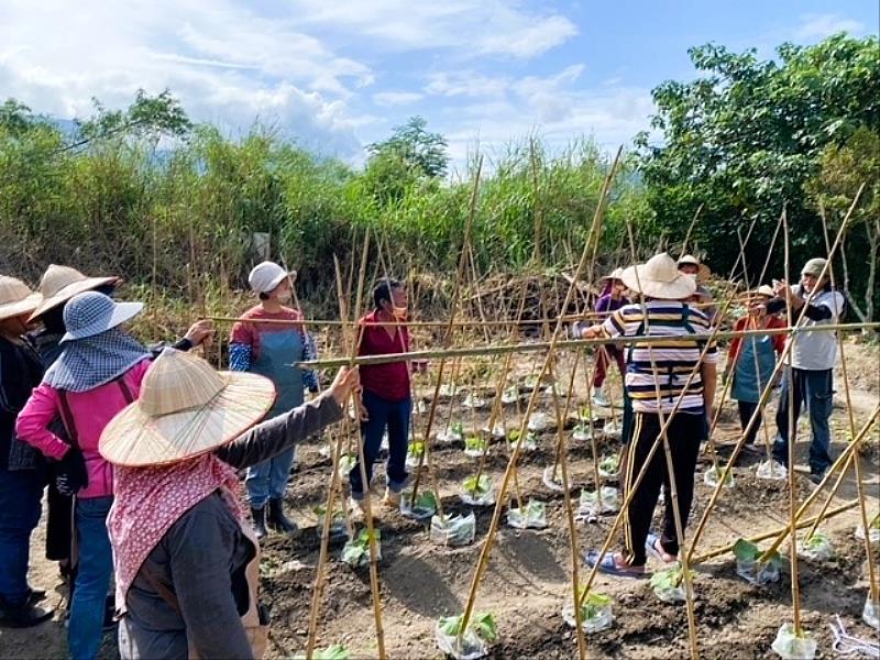 北分署布建花蓮震災職訓QR code，免甄試、免學費錄訓62歲婦女，參加職業訓練加值技能為再出發做好準備