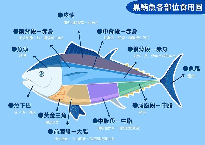 黑鮪魚各部位食用圖