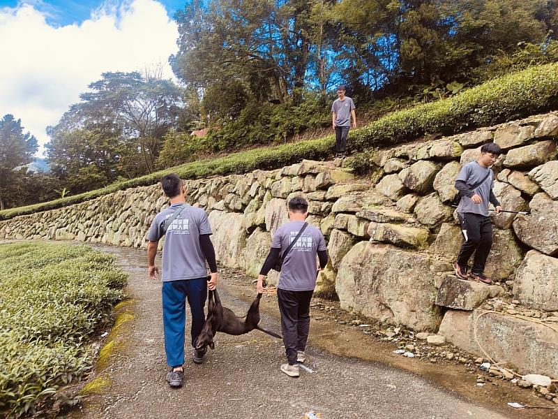 紓緩人犬衝突，嘉畜所夜戰阿里山抓狗，棄養容易捕捉超難！