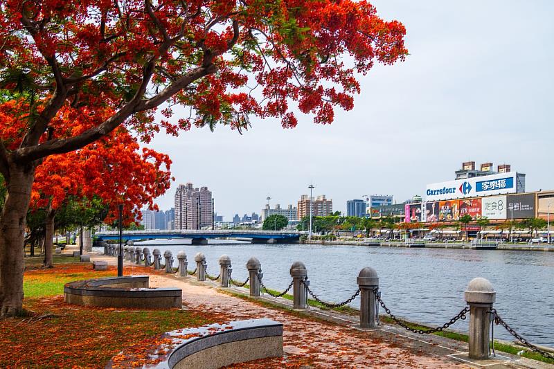 愛河岸與綠蔭廊道,媲美巴黎塞納河岸的浪漫風情,成為高雄知名的國際級觀光景點。