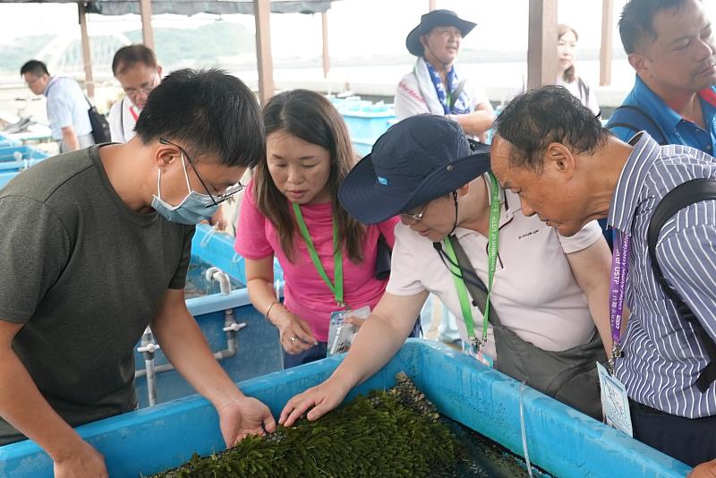 四校的校友及師生們參觀海洋生物培育館了解藻類的培育