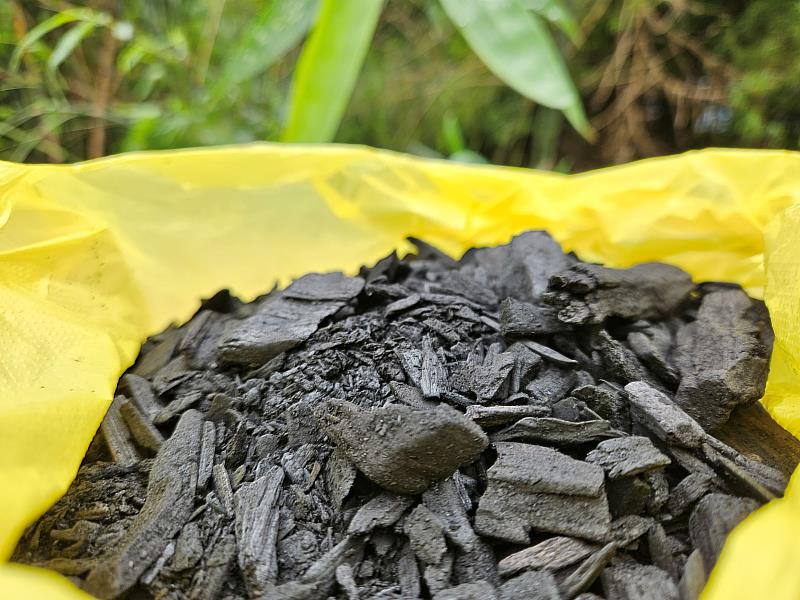 竹材破碎後可製成生物炭，並有改良土壤或碳儲存的作用