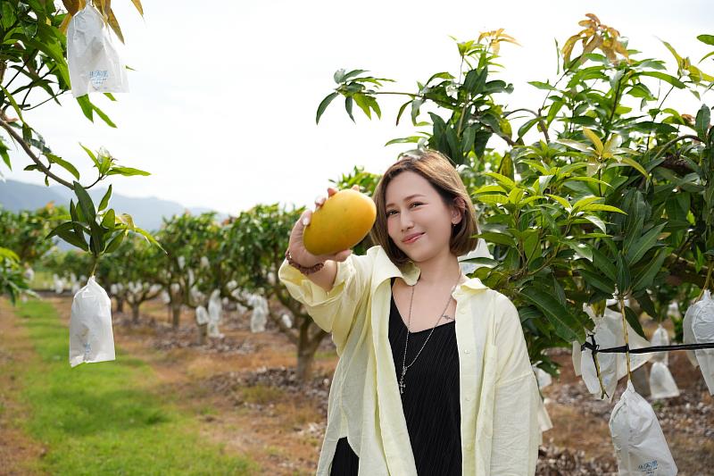 電商女王瑪菲司任「台東愛心推廣大使」 攜手王志輝副縣長直播銷售夏雪芒果