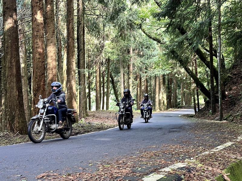 森林護管員們騎著檔車穿梭在山林之間執行任務