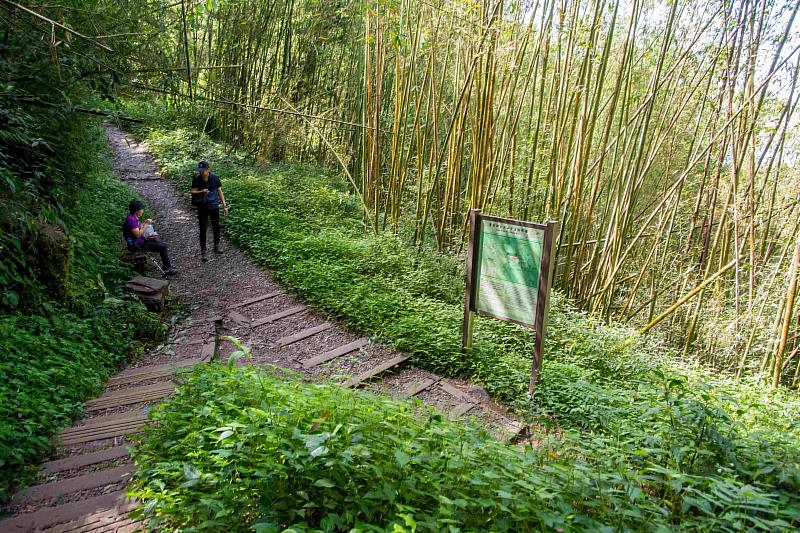 嘉義縣「秋遊嘉鄉」步道健行 即日起報名開跑