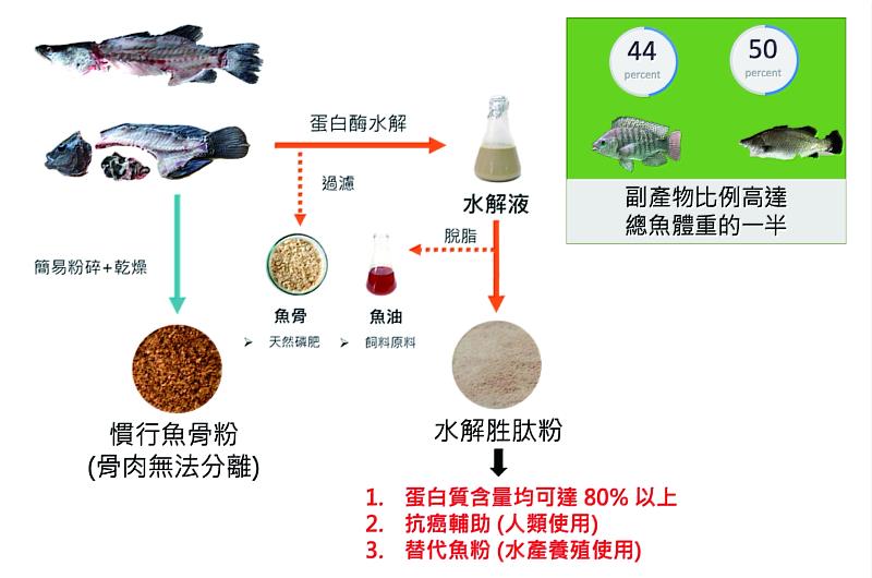 魚類的副產物能夠轉化為營養的生物活性胜肽，增加動物健康