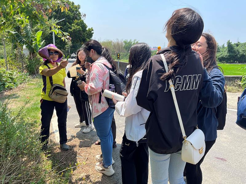 南華大學學生以野菜建立氣候變遷調適行動，對社區野菜和家庭庭院種植的作物進行調查及利用。