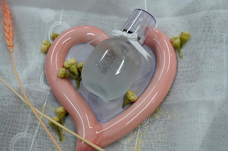 大葉大學藥保系大二生研發蓮霧花噴霧凍膜