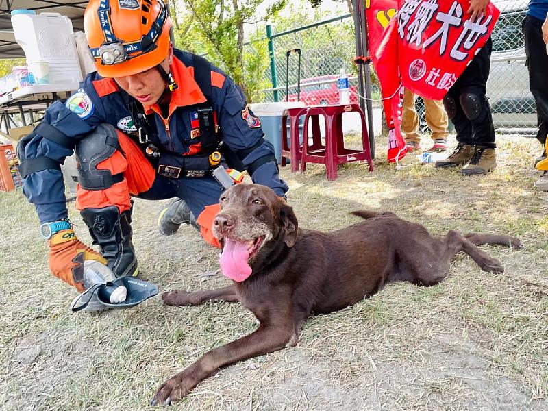 今年3月份羅浩芳帶領搜救犬Amei參加IRO(International Rescue Dog Organization)國際搜救犬組織評量檢測，成績優異並再度代表台灣參加第28屆搜救犬世界盃錦標賽資格，本次比賽地點在芬蘭，相關經費及行程規劃，整個團隊目前爭取國內企業與熱心人士捐助，讓台灣搜救犬技術能獲得世界肯定，同時也讓其他國家更能了解台灣參與國際人道救援的決心!