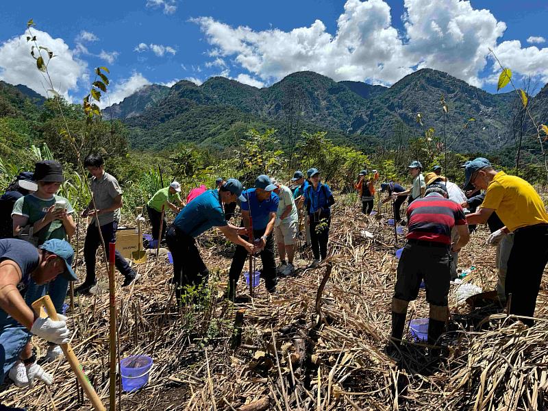 林業保育署嘉義分署與璨揚企業等22家公司，8日至嘉義縣阿里山鄉豐山村齊力種下山櫻花等樹種，保安國土並營造地方遊憩景觀