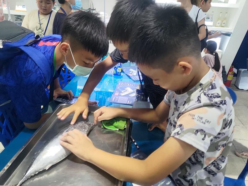 洄游吧食魚體驗館瞭解海洋生態及永續漁業。