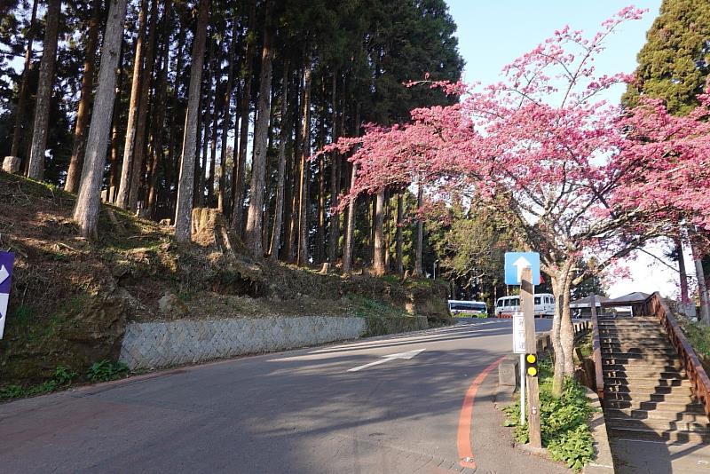 修復園區路面及邊坡，維護行車遊客安全的祝山林道沿線邊坡及路面改善工程獲112年度優良農業建設工程農路林道類優等