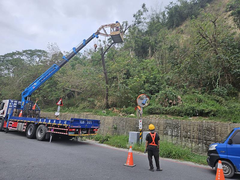 正氣北路109巷邊坡修枝