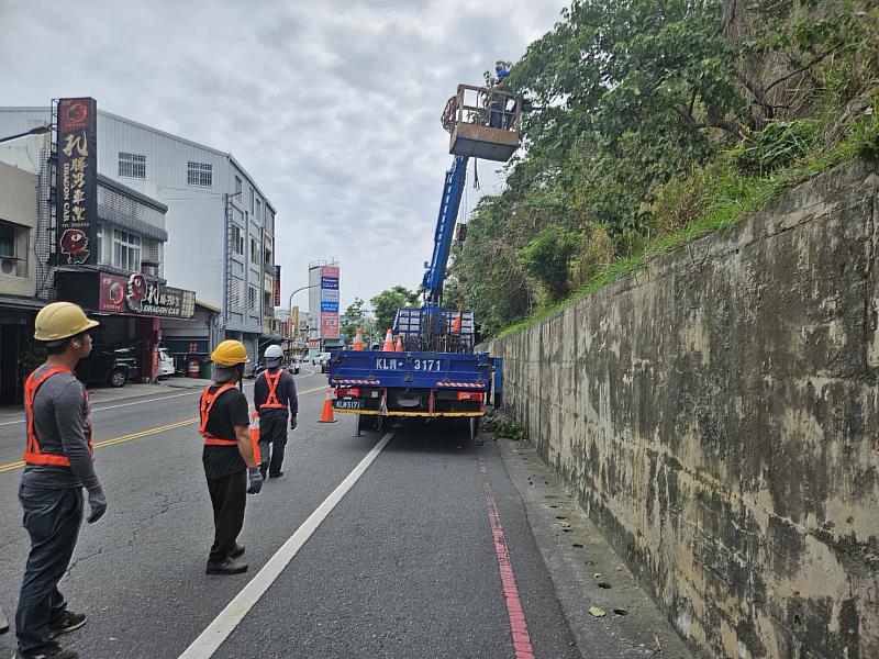 鯉魚山鄰正氣北路邊坡修枝