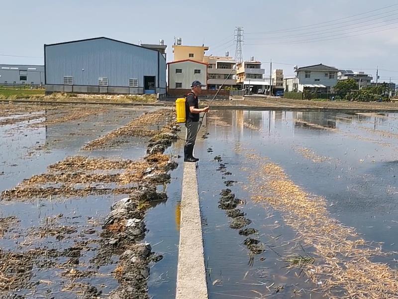 稻草腐化菌