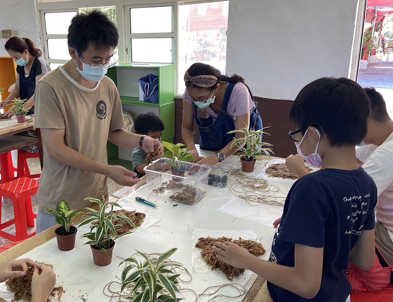 紫東社區推出水苔球DIY