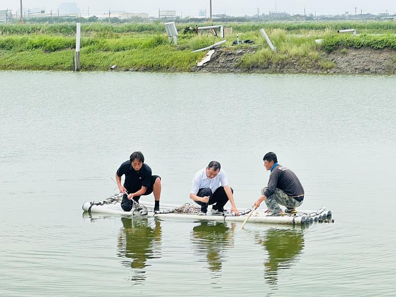 張致盛署長隨同鄭安倉教授在安平後魚塭區文蛤池 檢視池中底土及文蛤存活情況