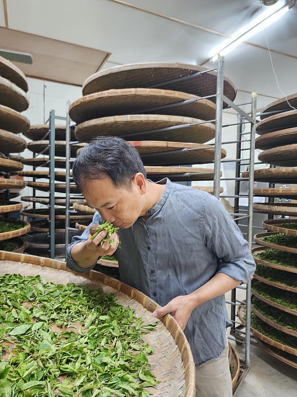 Tea-making process