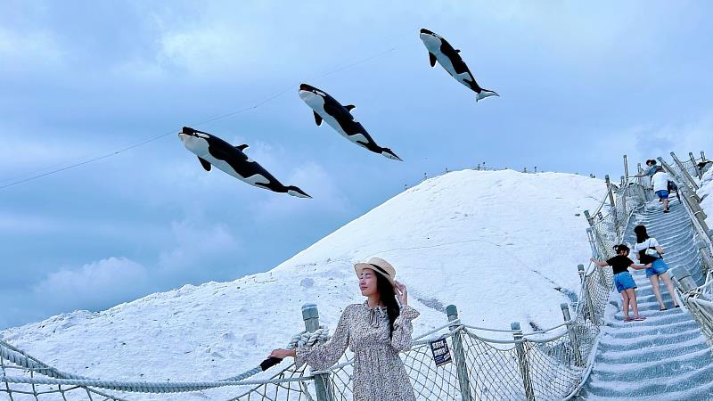 8/10~11空中海鮮節、8/17~18鹽山動物園，風吹七Go-「七股鹽山風箏嘉年華」兩週不同風箏主題盛大演出，邀請大家來七股鹽山追風去！