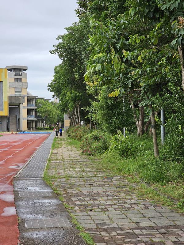 高峰國小-聯外花崗石步道及碎石鋪面整平工程案