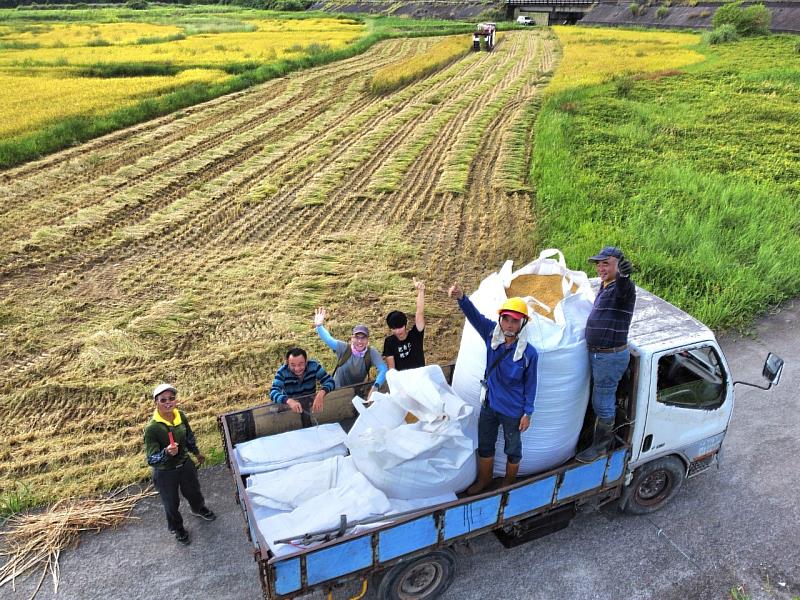 在地農友齊力完成收割作業