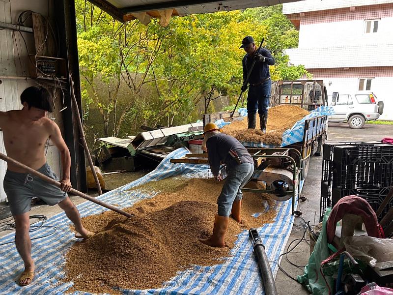 今年新北市農業局輔導羽豐米與貢寮雙玉社區合作，建立在地生產線，將生產成本轉為地方收益