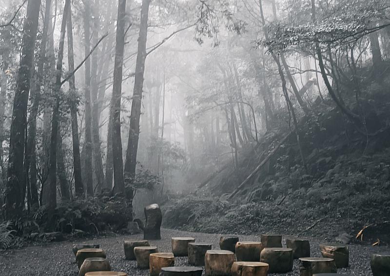 活動於阿里山國家森林遊樂區水山療癒步道內的水山教室舉辦