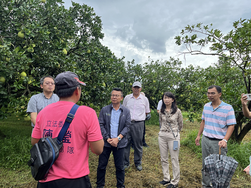 農糧署姚志旺副署長訪視文旦果園