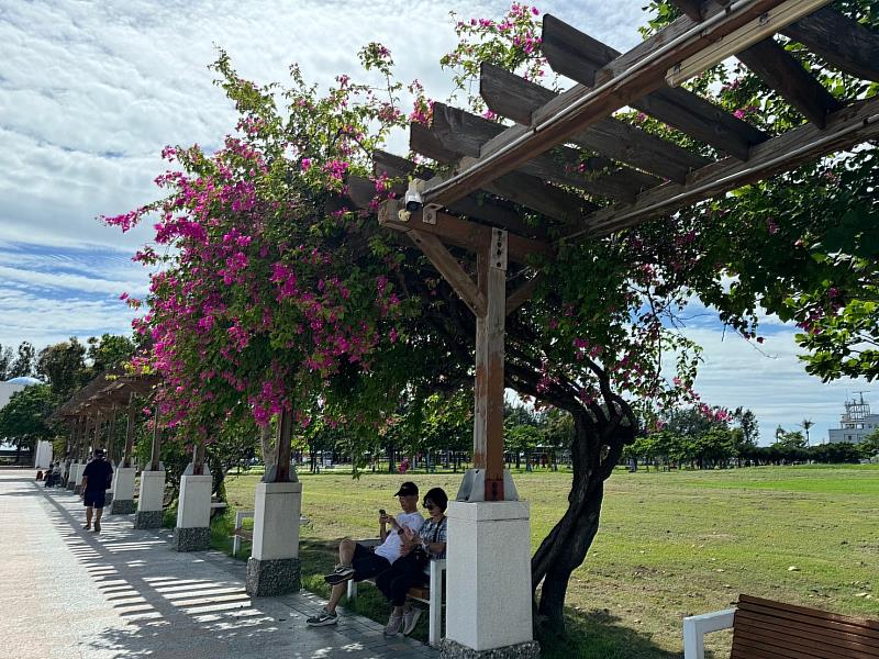 東石村認養漁港空品淨化區，志工籲民眾愛護環境-2