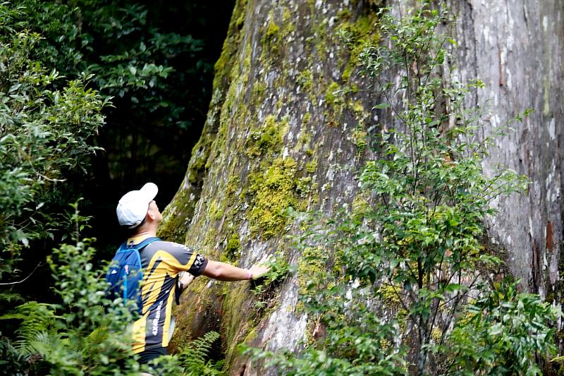 賽道位於難得開放的棲蘭林道，擁有臺灣高山森林的生態。