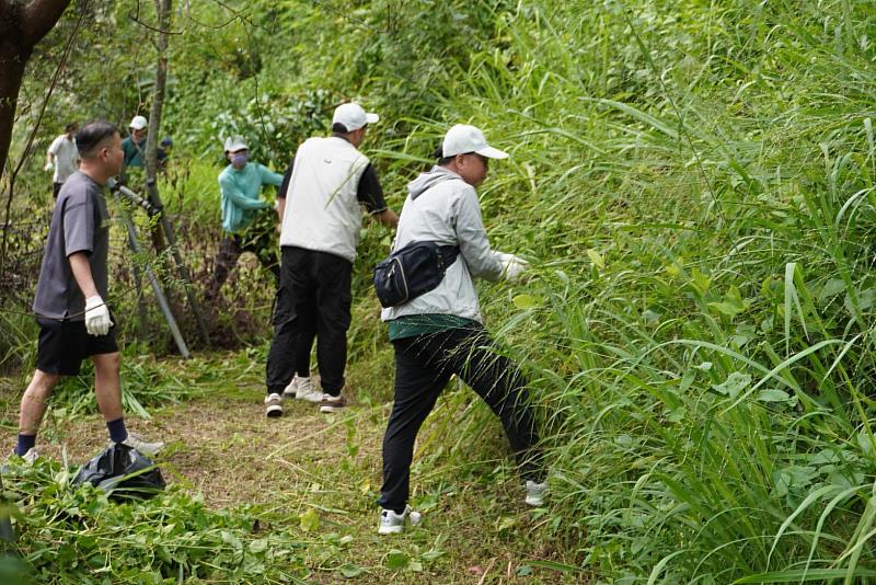 六龜新威森林公園移除成果