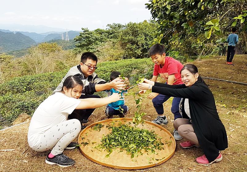 迎接中秋節，深坑與坪林分館特別在中秋前夕，推出適合全家大小一起同樂的「閱見中秋」親子體驗活動，邀大家感受不一樣的節慶閱讀體驗