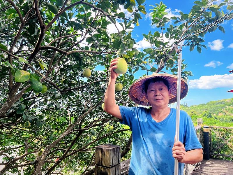 「文旦柚茶」則選用八里在地小農桃樂絲農場的精選柚子熬製。