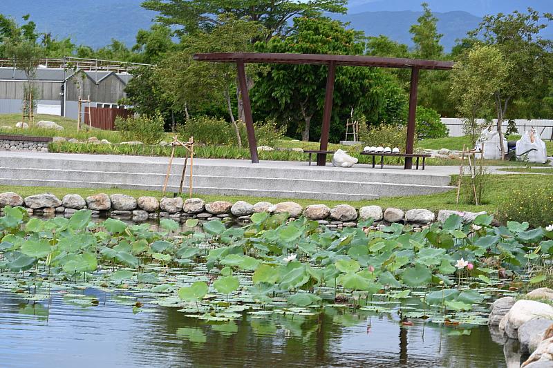 臺東森林公園新風貌！饒慶鈴率團隊復育原生種 重啟生態平衡之美