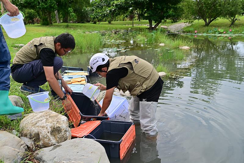 臺東森林公園新風貌！饒慶鈴率團隊復育原生種 重啟生態平衡之美