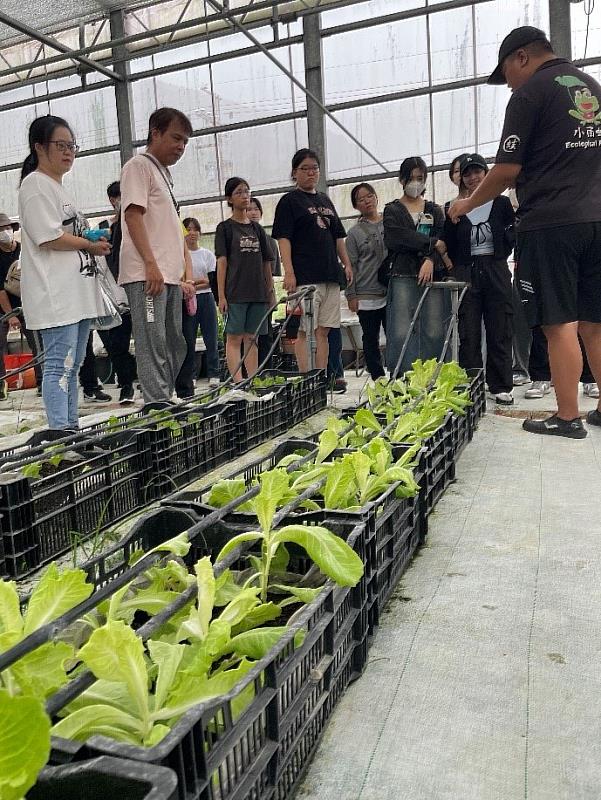 青年壯遊學員透過親手調配有機質壤土與蔬菜種植來認識食農教育的意涵。