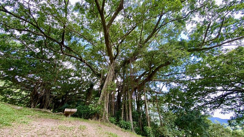 因應山陀兒颱風來襲，臺東分署包含知本國家森林遊樂區等森林育樂場域自29日下午5時預警性封閉