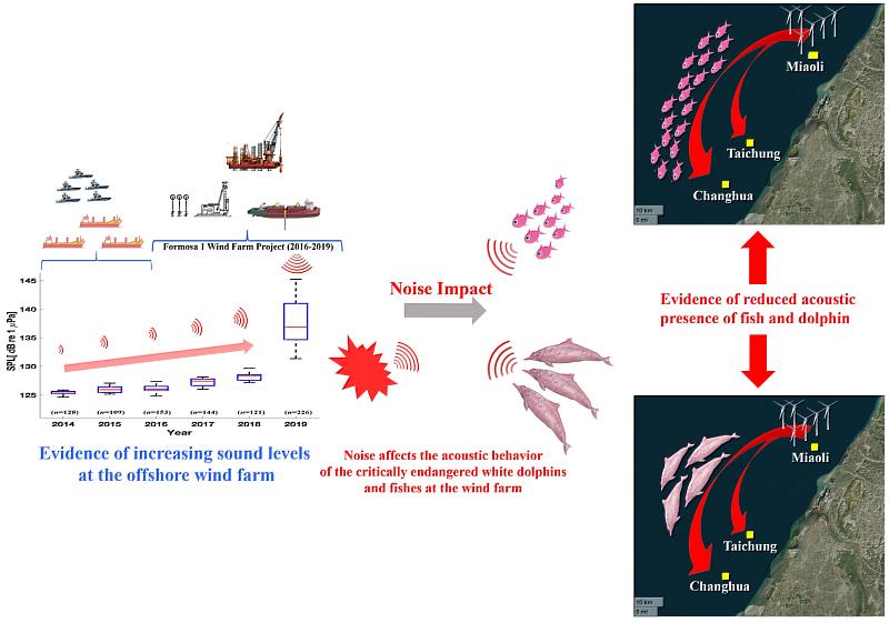 許榮均教授團隊的研究結果顯示，Formosa 1 海洋風電區域的魚類和白海豚的發聲行為減少