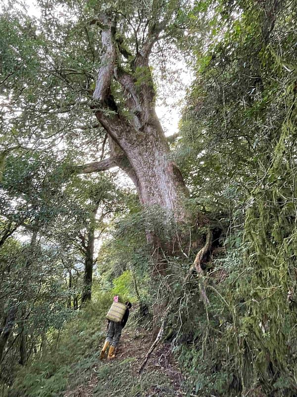 期許未來由在地族人守護古道