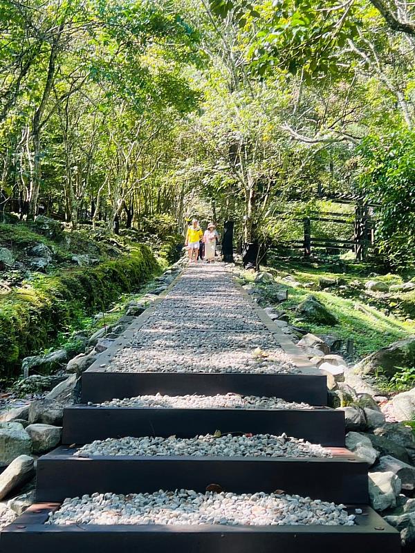 八仙山國家森林遊樂區老少咸宜的森林步道(照片 林業及自然保育署臺中分署)