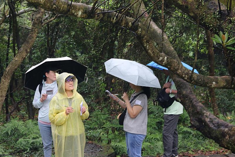 圖二：富邦金控首場員工永續生態活動於陽明山國家公園舉辦，同仁們在環境友善種子講師的帶領下計算每棵樹的初估碳匯，了解樹木對於減碳的效益。