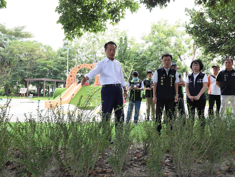 溪口鄉鵪鶉兒童遊戲公園完工啟用 打造在地親子共遊新地標