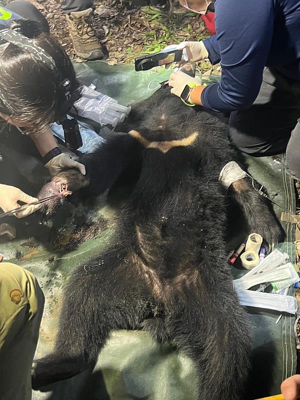 屏東科技大學保育類野生動物收容中心執行檢傷救傷工作-01