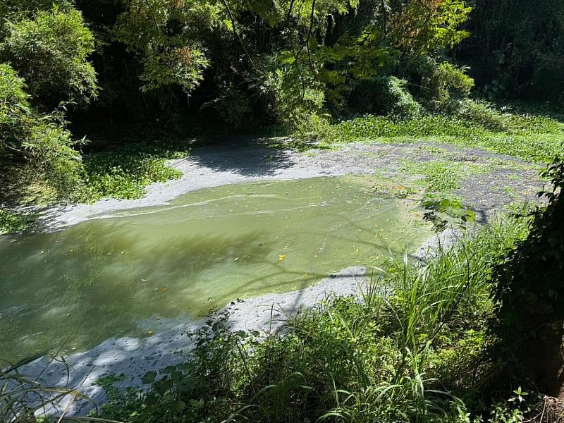 新竹縣峨眉鄉石井村27-11號