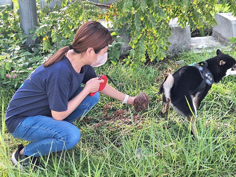 遛狗請繫狗鏈並攜帶清理器具 隨手清理狗便 未清者罰款1200元起