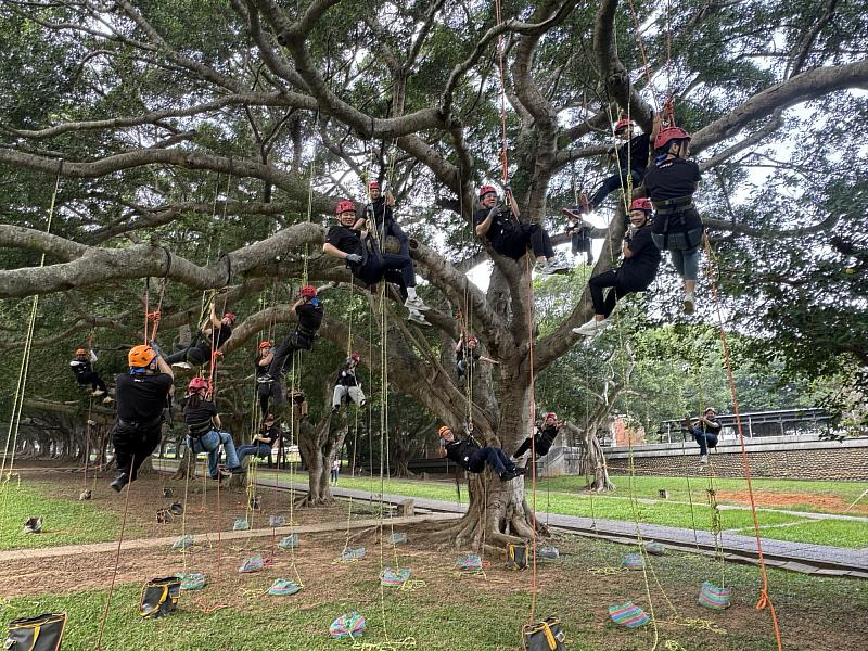 在東海大學師生專業指導下，遠傳同仁除了種下數十種大肚山原生種植物，更進行攀樹、樹冠層生態觀察，瞭解森林對於豐富生態的重要性。