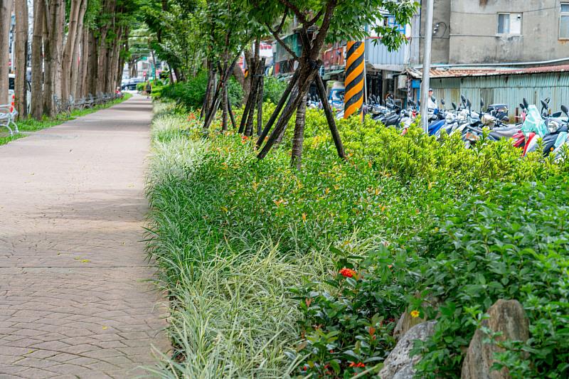 廊道沿線種植了熊貓仙丹、青紫木、長虹木、撒金變葉木、麥門冬及銀紋沿階草等各式灌木及草花，形成四季皆有景可觀的特色綠帶