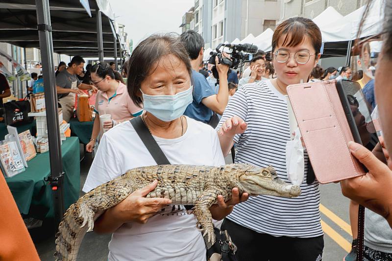 義竹鱻樂節熱鬧登場，50家攤販齊聚推廣在地漁業特色-1